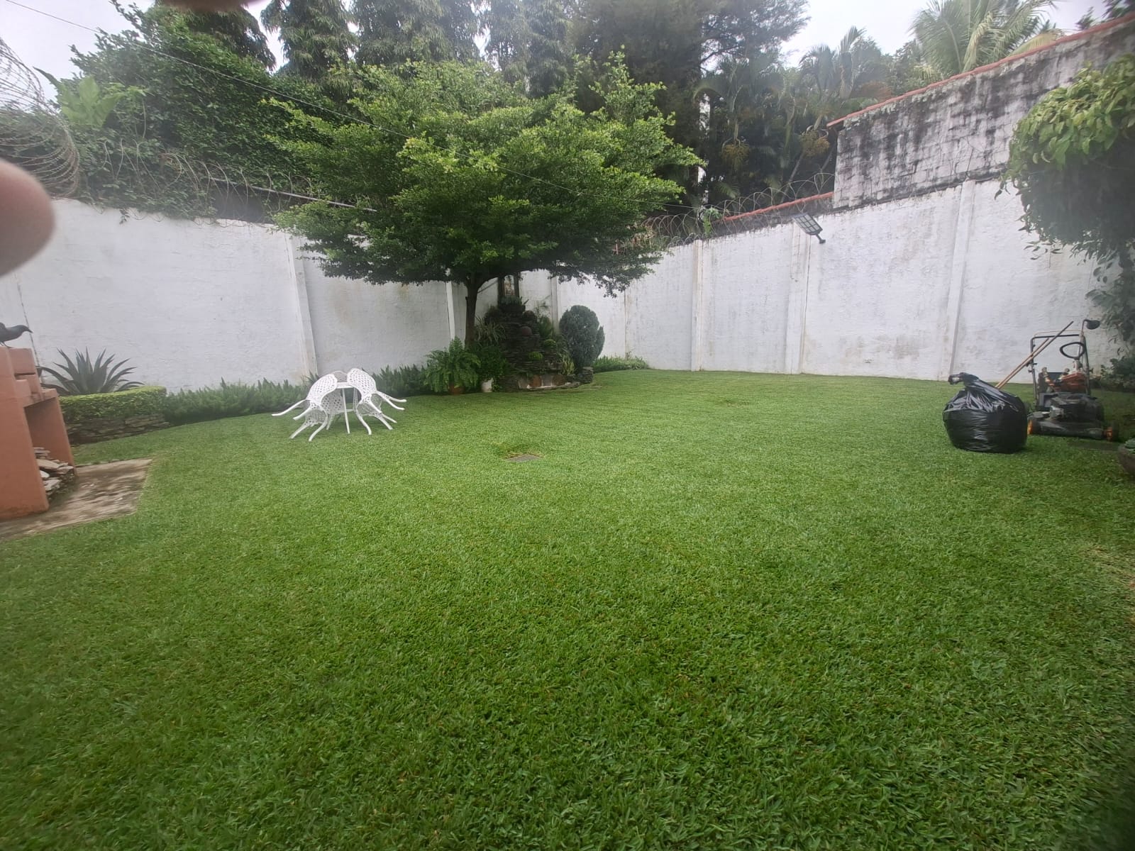 jardin1