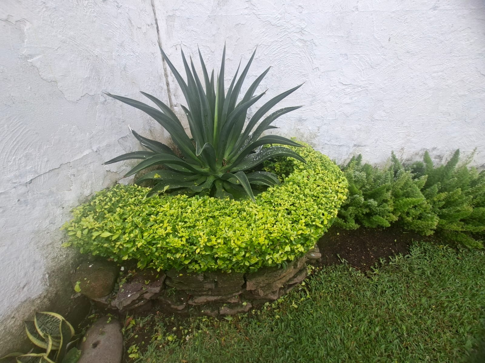 jardin10