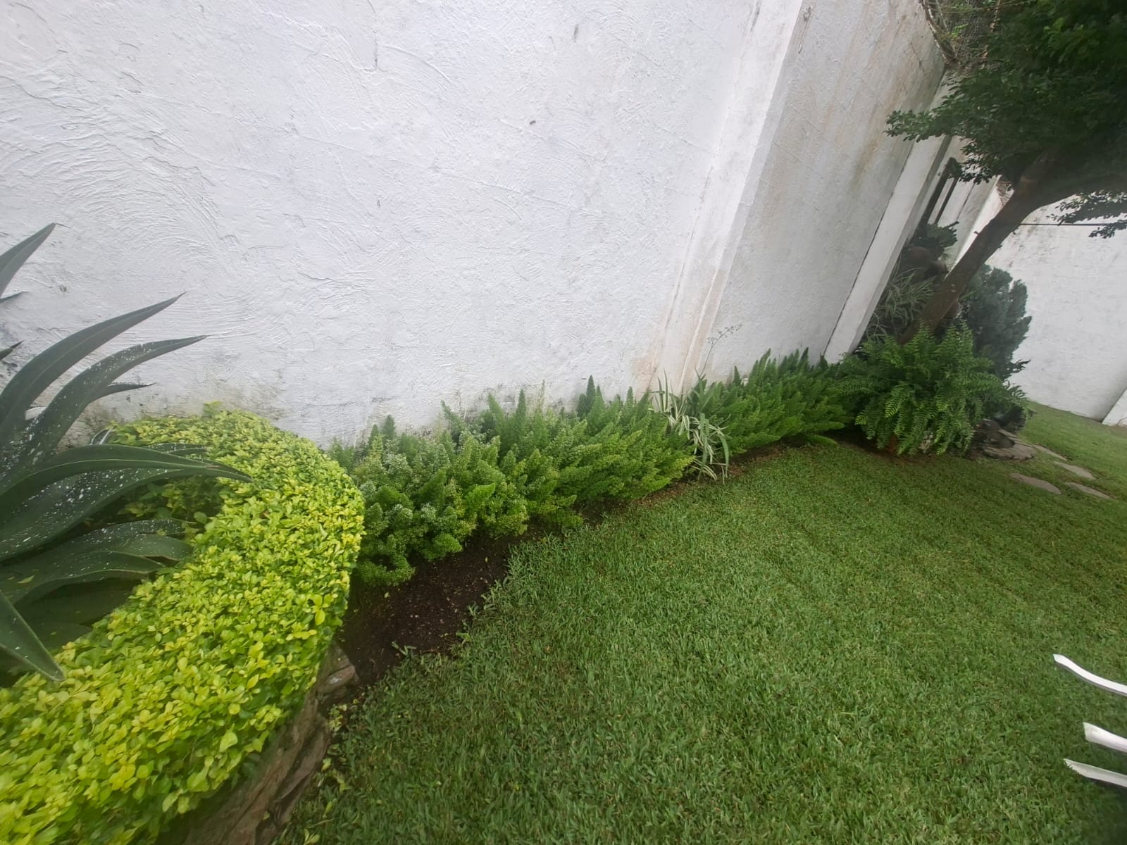 jardin11