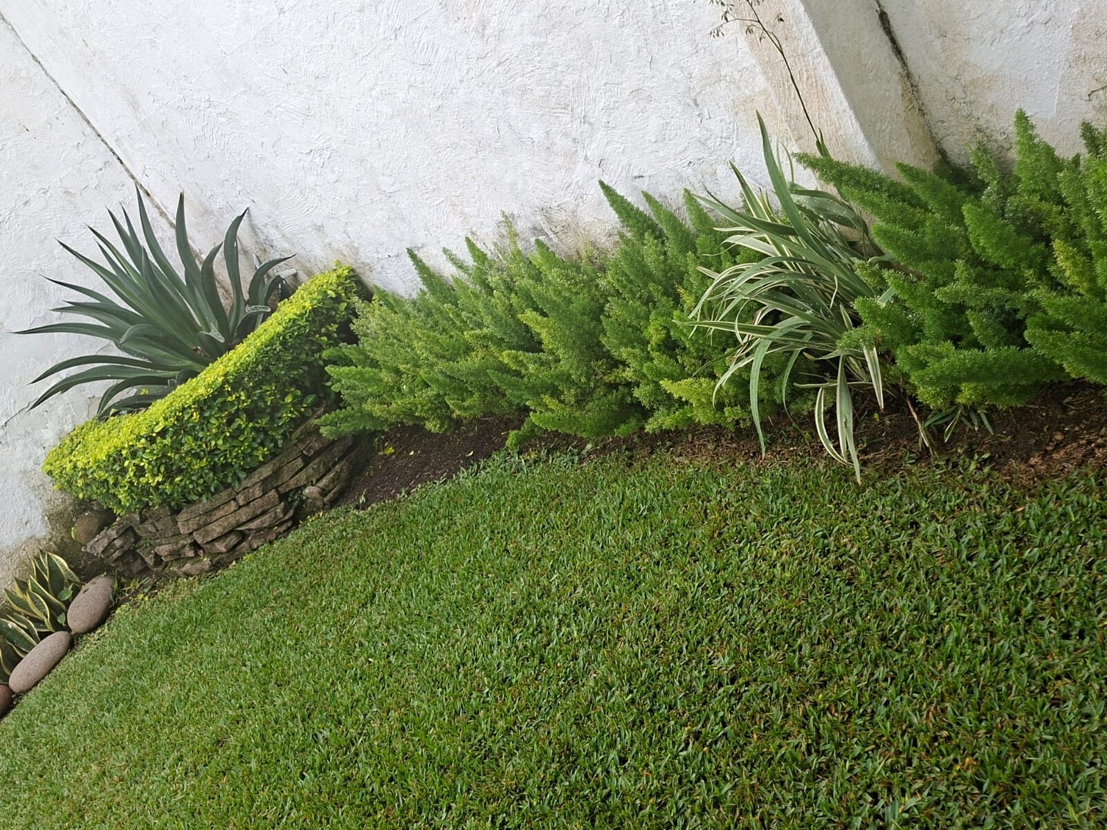 jardin12