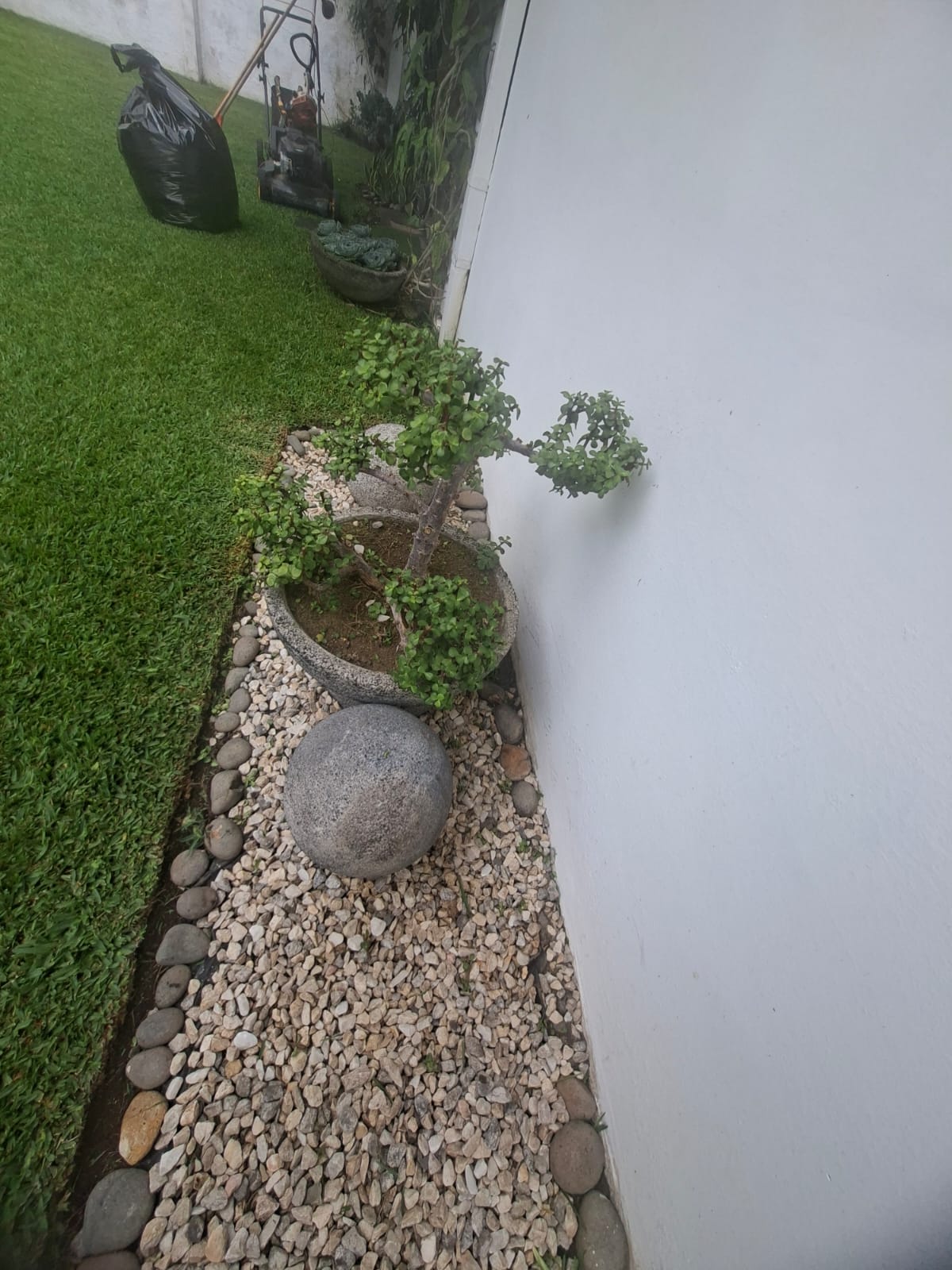 jardin7